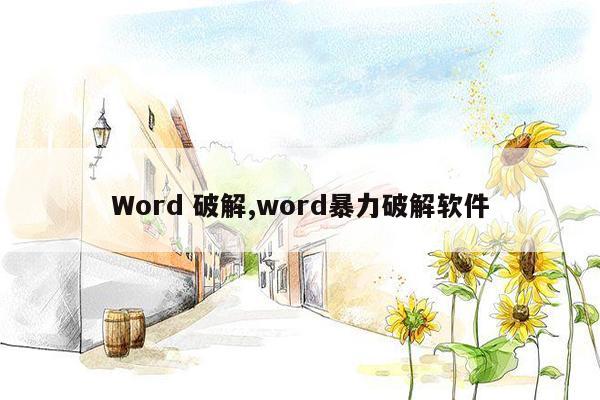 Word 破解,word暴力破解软件