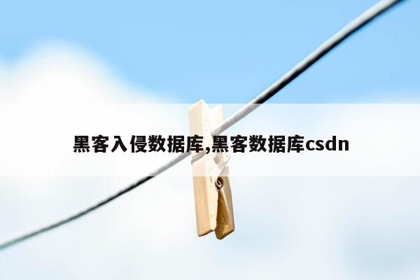 黑客入侵数据库,黑客数据库csdn