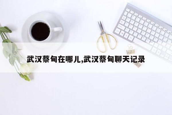 武汉蔡甸在哪儿,武汉蔡甸聊天记录