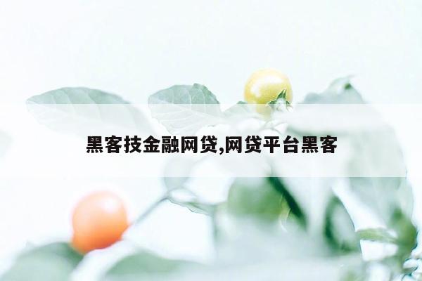 黑客技金融网贷,网贷平台黑客