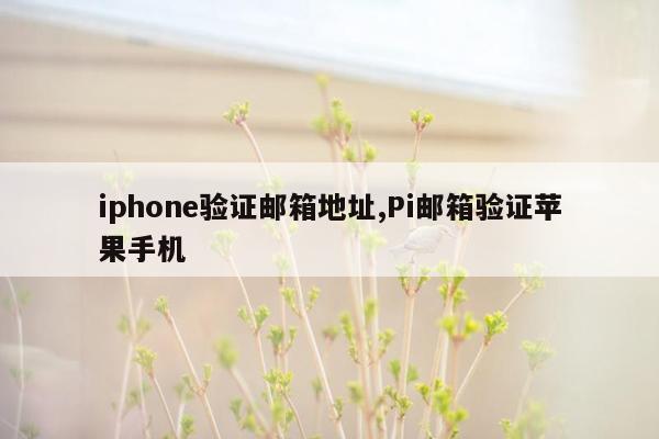iphone验证邮箱地址,Pi邮箱验证苹果手机