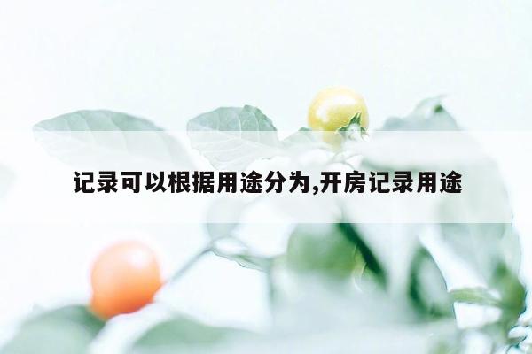 记录可以根据用途分为,开房记录用途