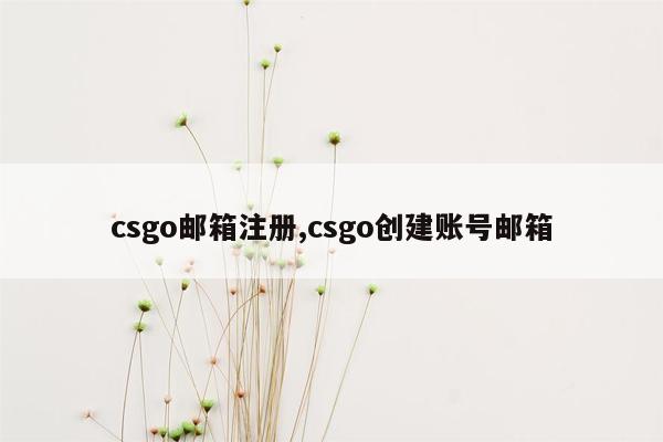 csgo邮箱注册,csgo创建账号邮箱