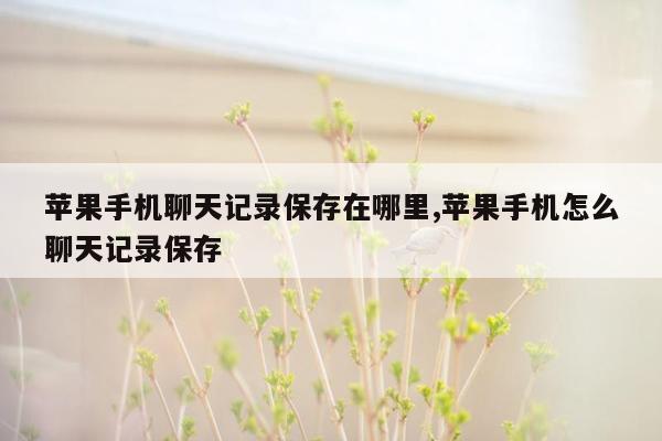 苹果手机聊天记录保存在哪里,苹果手机怎么聊天记录保存