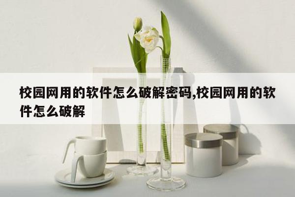 校园网用的软件怎么破解密码,校园网用的软件怎么破解