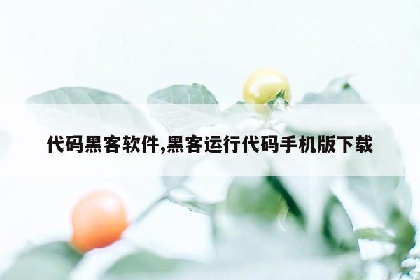 代码黑客软件,黑客运行代码手机版下载