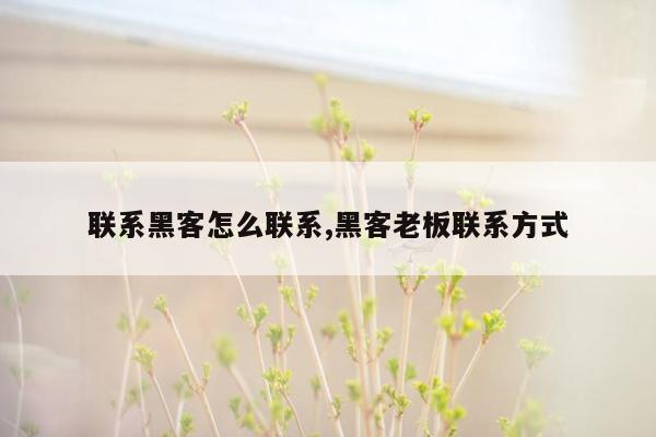 联系黑客怎么联系,黑客老板联系方式