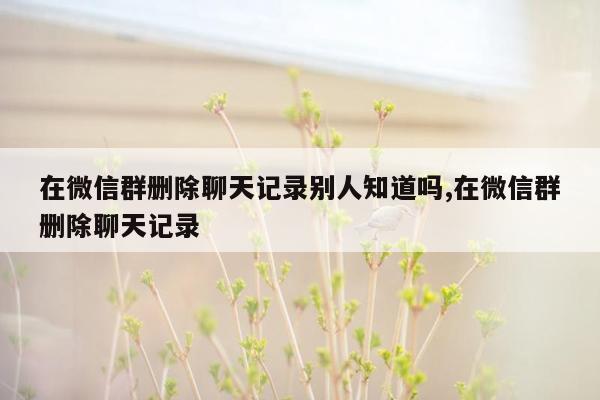 在微信群删除聊天记录别人知道吗,在微信群删除聊天记录