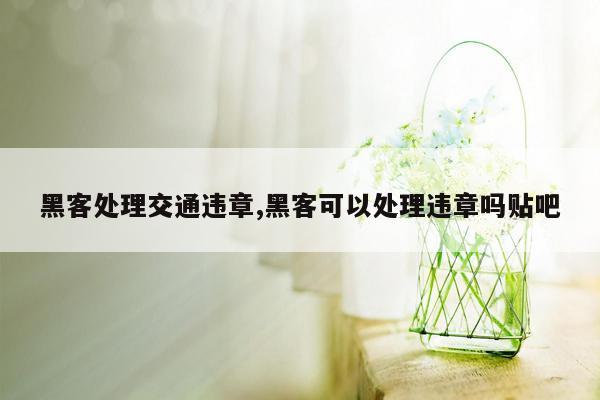 黑客处理交通违章,黑客可以处理违章吗贴吧