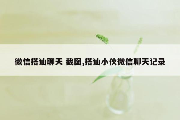 微信搭讪聊天 截图,搭讪小伙微信聊天记录