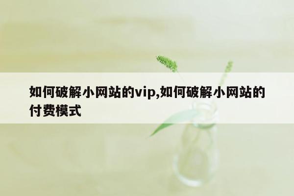 如何破解小网站的vip,如何破解小网站的付费模式