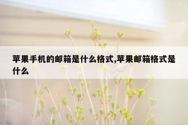 苹果手机的邮箱是什么格式,苹果邮箱格式是什么