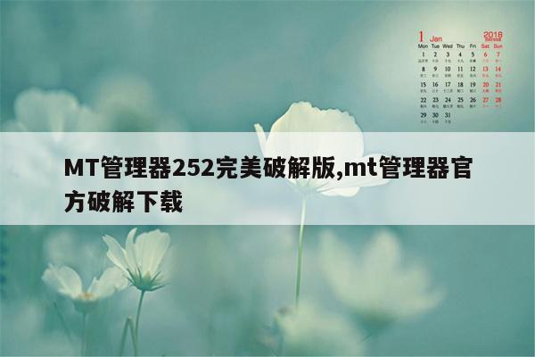 MT管理器252完美破解版,mt管理器官方破解下载