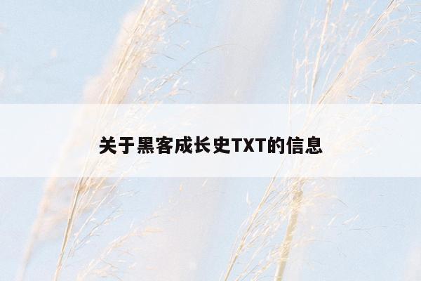 关于黑客成长史TXT的信息