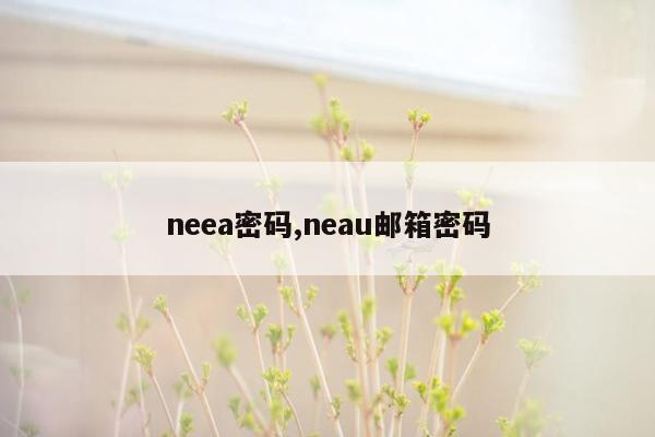 neea密码,neau邮箱密码