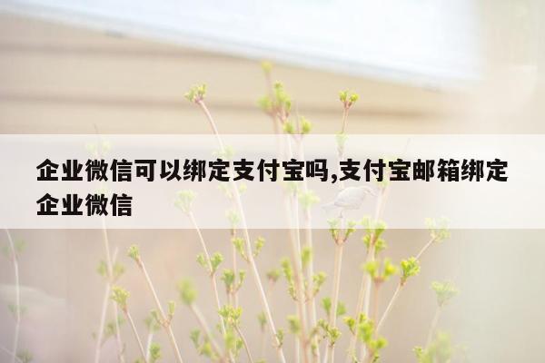 企业微信可以绑定支付宝吗,支付宝邮箱绑定企业微信