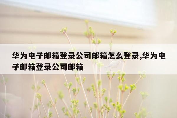 华为电子邮箱登录公司邮箱怎么登录,华为电子邮箱登录公司邮箱