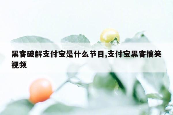 黑客破解支付宝是什么节目,支付宝黑客搞笑视频