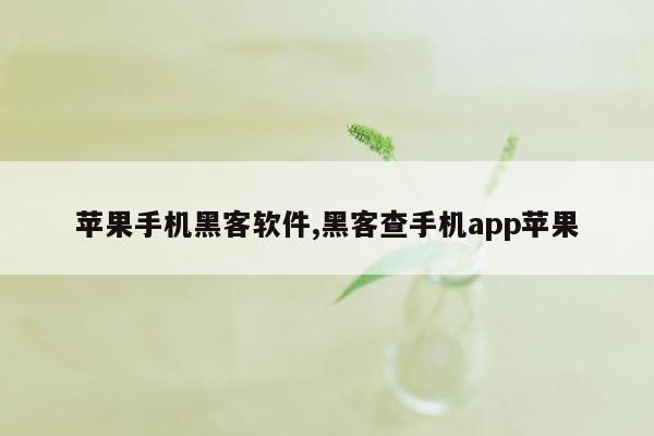 苹果手机黑客软件,黑客查手机app苹果