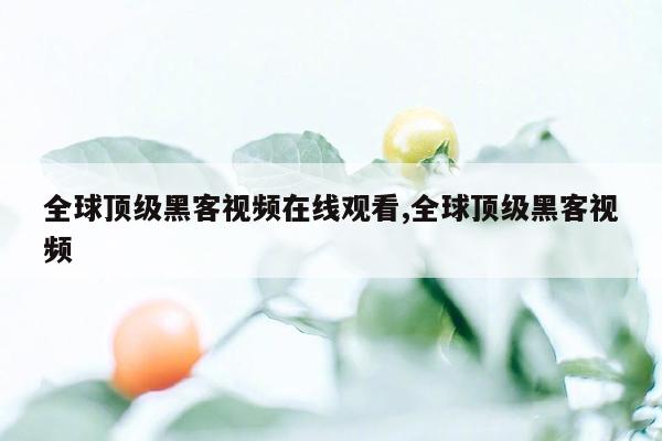 全球顶级黑客视频在线观看,全球顶级黑客视频