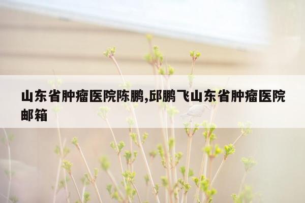 山东省肿瘤医院陈鹏,邱鹏飞山东省肿瘤医院邮箱