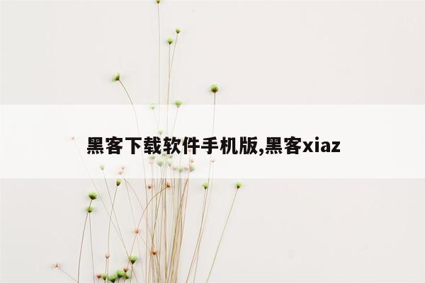 黑客下载软件手机版,黑客xiaz