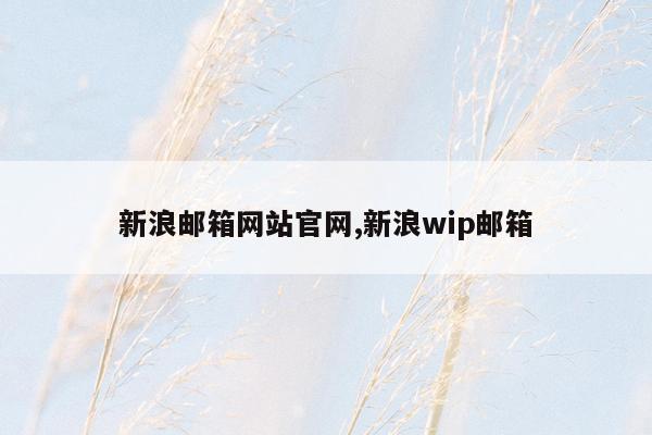 新浪邮箱网站官网,新浪wip邮箱