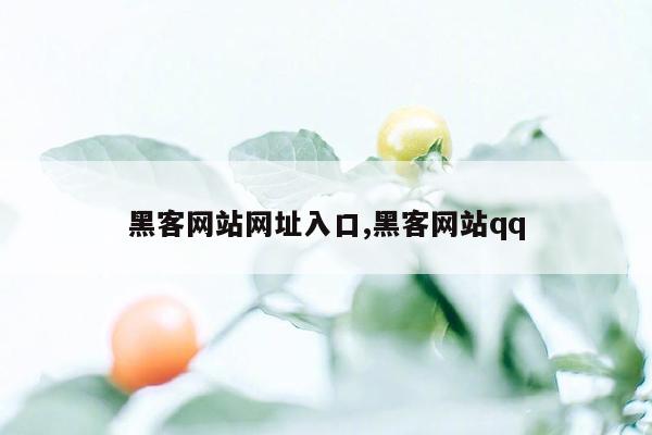 黑客网站网址入口,黑客网站qq