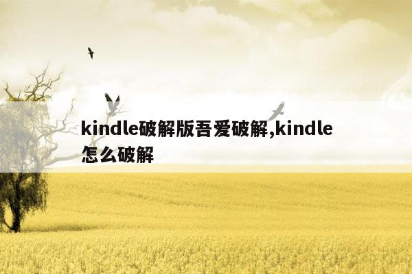 kindle破解版吾爱破解,kindle怎么破解