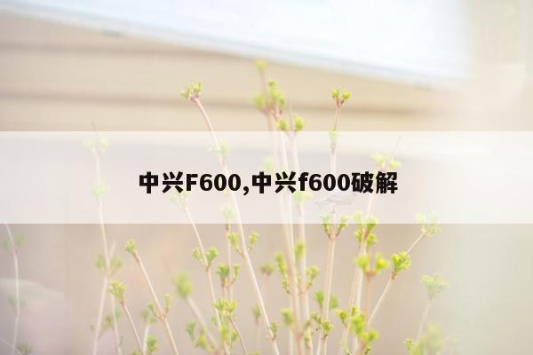 中兴F600,中兴f600破解