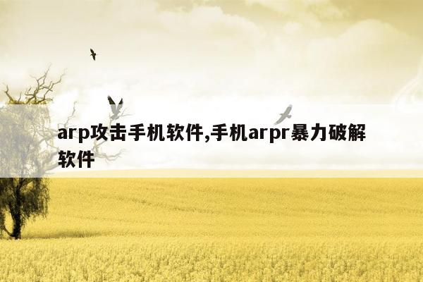 arp攻击手机软件,手机arpr暴力破解软件