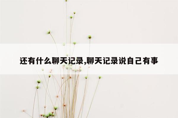 还有什么聊天记录,聊天记录说自己有事