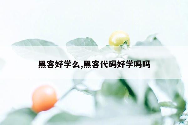 黑客好学么,黑客代码好学吗吗