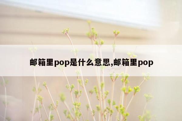 邮箱里pop是什么意思,邮箱里pop