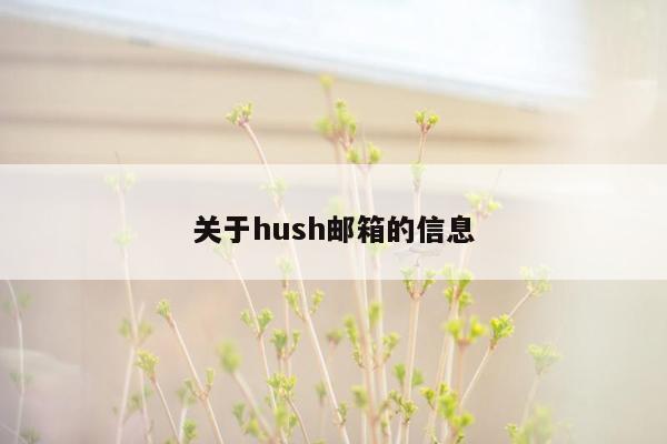 关于hush邮箱的信息