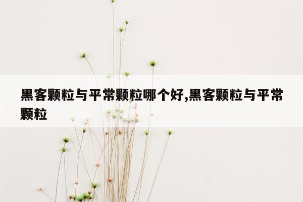 黑客颗粒与平常颗粒哪个好,黑客颗粒与平常颗粒