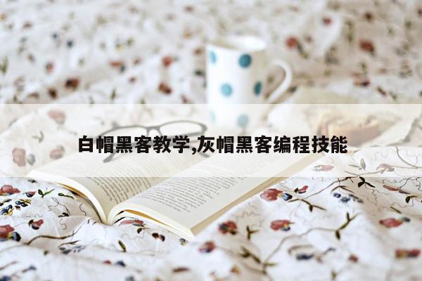 白帽黑客教学,灰帽黑客编程技能