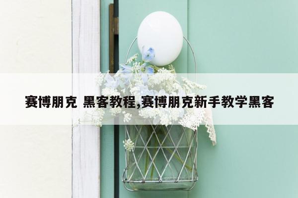 赛博朋克 黑客教程,赛博朋克新手教学黑客