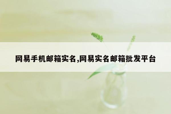 网易手机邮箱实名,网易实名邮箱批发平台