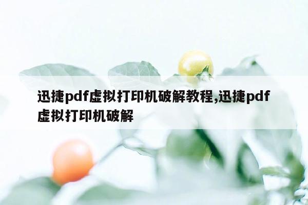 迅捷pdf虚拟打印机破解教程,迅捷pdf虚拟打印机破解