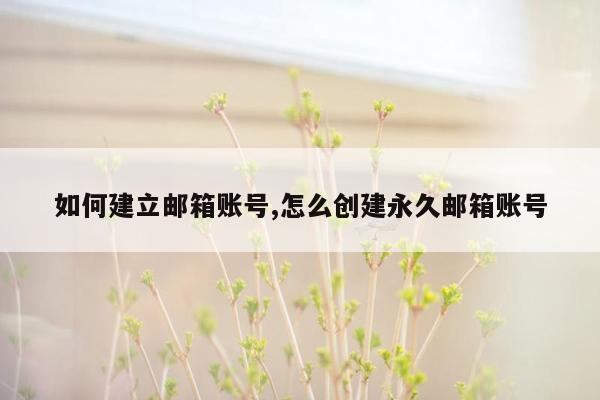 如何建立邮箱账号,怎么创建永久邮箱账号