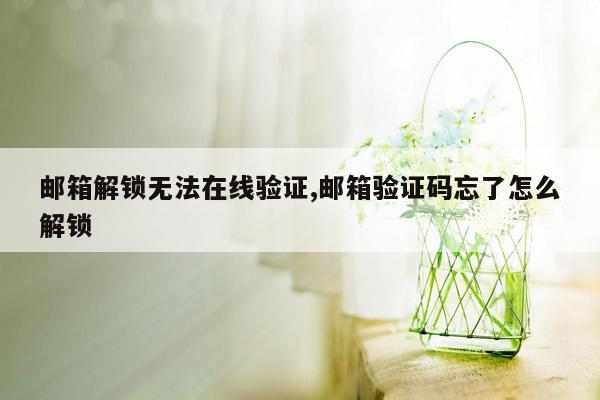 邮箱解锁无法在线验证,邮箱验证码忘了怎么解锁