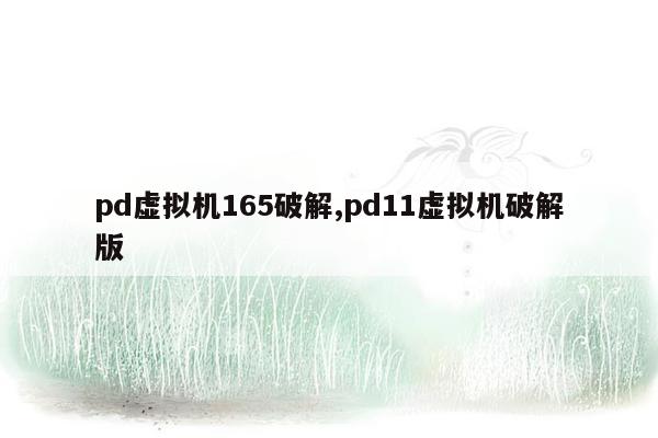 pd虚拟机165破解,pd11虚拟机破解版