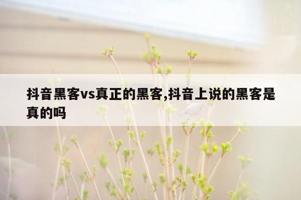 抖音黑客vs真正的黑客,抖音上说的黑客是真的吗