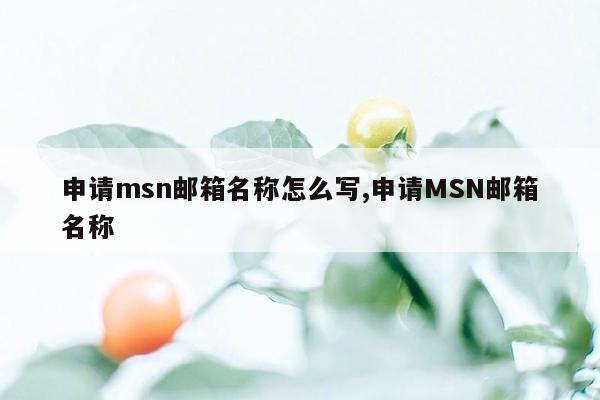申请msn邮箱名称怎么写,申请MSN邮箱名称