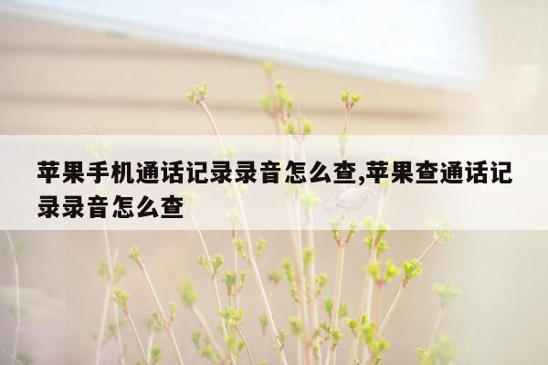 苹果手机通话记录录音怎么查,苹果查通话记录录音怎么查