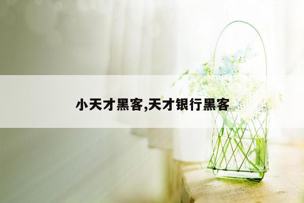 小天才黑客,天才银行黑客