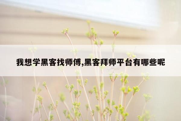 我想学黑客找师傅,黑客拜师平台有哪些呢