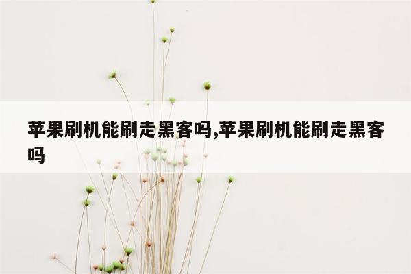 苹果刷机能刷走黑客吗,苹果刷机能刷走黑客吗