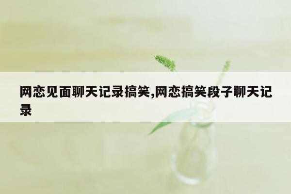 网恋见面聊天记录搞笑,网恋搞笑段子聊天记录